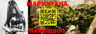 гидра Краснознаменск
