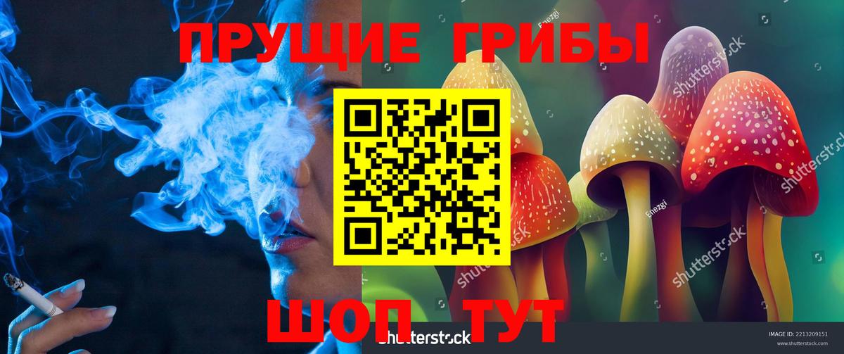 Псилоцибиновые грибы мицелий  Вход с VPN  Псилоцибиновые грибы Cubensis  Ковров 